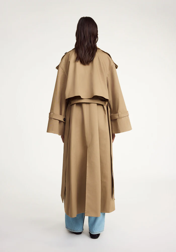 Trench Alaya Fosil